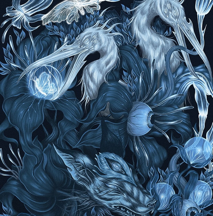 Tajomný svet Medicine