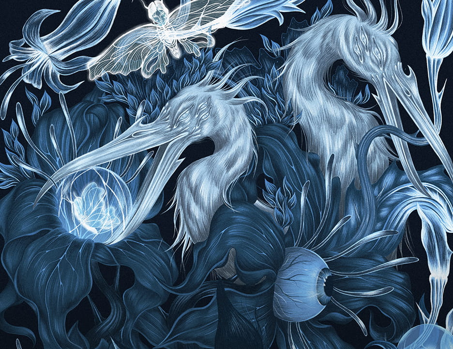 Tajomný svet Medicine